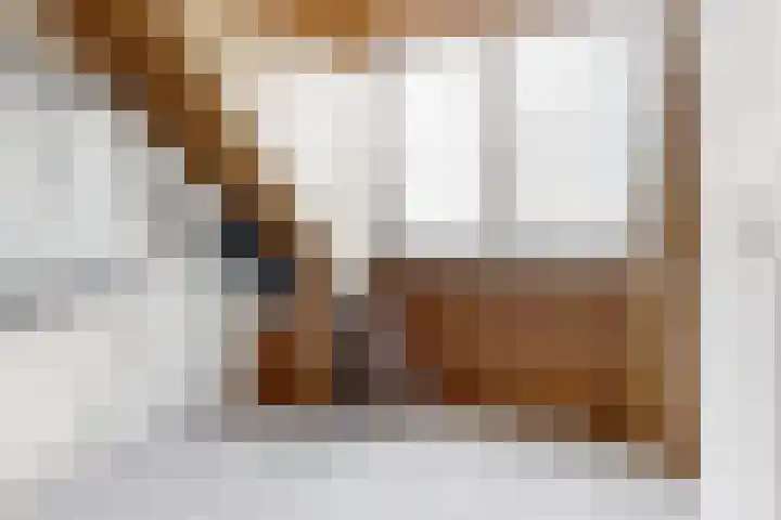 Overzicht 2 J Kamerik thumbnail 21