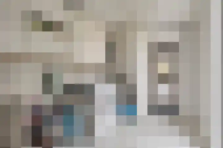 Overzicht 21 Kamerik thumbnail 15
