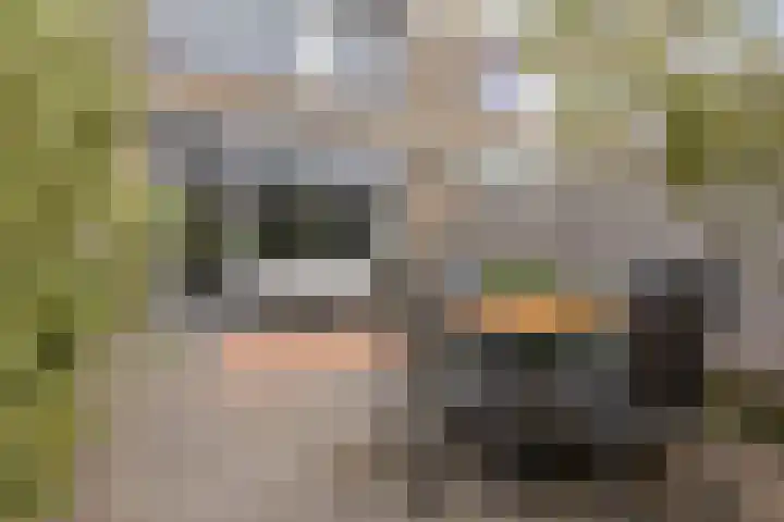 Overzicht 21 Kamerik thumbnail 26