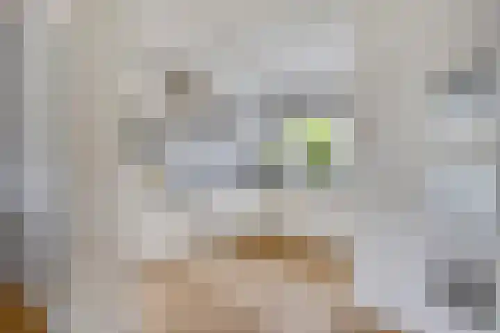 Overzicht 21 Kamerik thumbnail 5