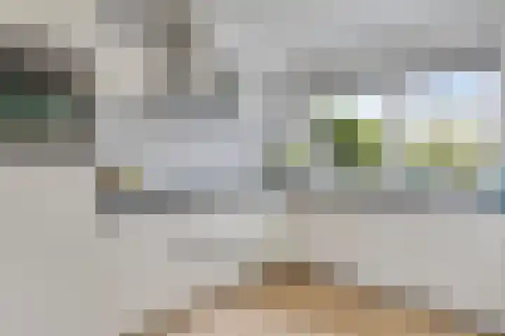 Overzicht 21 Kamerik thumbnail 6