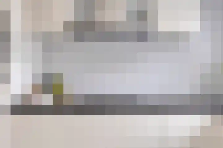Overzicht 21 Kamerik thumbnail 7