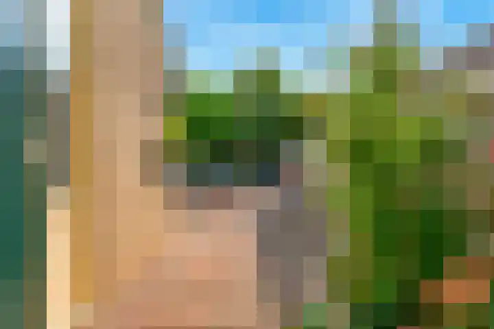 Overzicht 23 Kamerik thumbnail 32