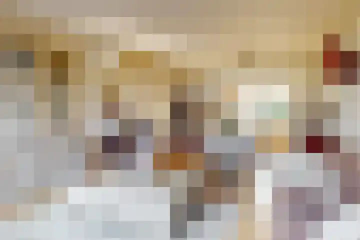 Overzicht 23 Kamerik thumbnail 6