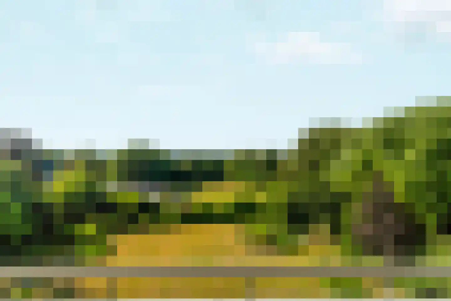 Overzicht 60 Oosterbeek thumbnail 19