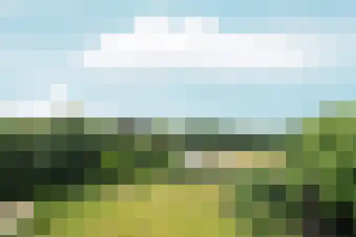 Overzicht 76 Oosterbeek thumbnail 15