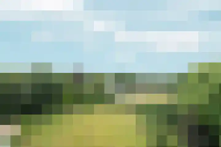 Overzicht 76 Oosterbeek thumbnail 16