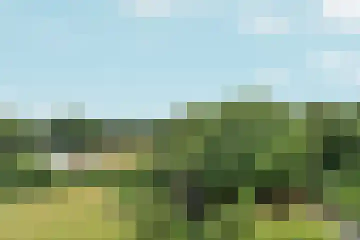Overzicht 76 Oosterbeek thumbnail 17