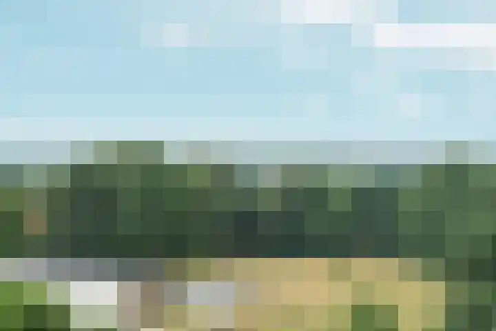 Overzicht 76 Oosterbeek thumbnail 18