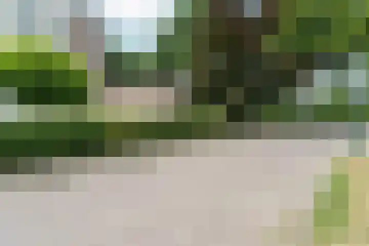 Overzicht 76 Oosterbeek thumbnail 42