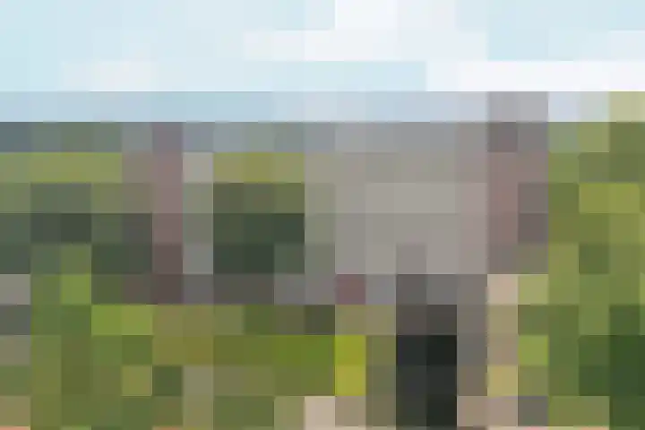 Overzicht 76 Oosterbeek thumbnail 6