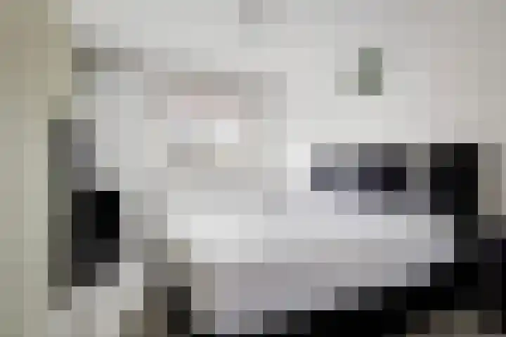 Ovezandepad 80 Rotterdam thumbnail 30