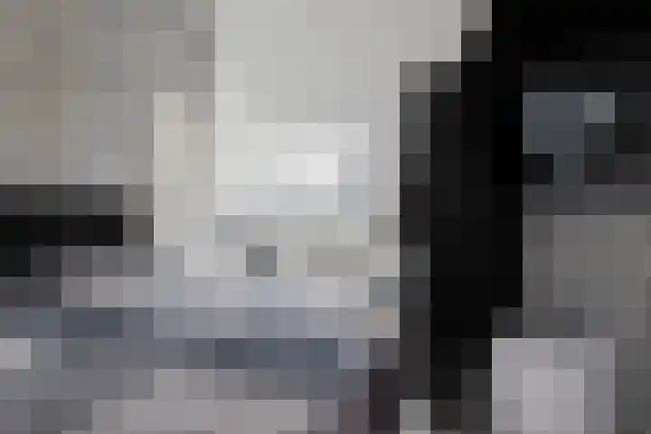 Ovezandepad 80 Rotterdam thumbnail 43