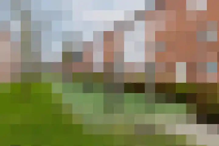 Ovezandepad 80 Rotterdam thumbnail 52