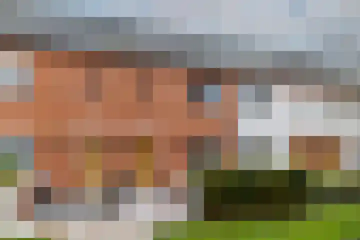 Ovezandepad 80 Rotterdam thumbnail 7