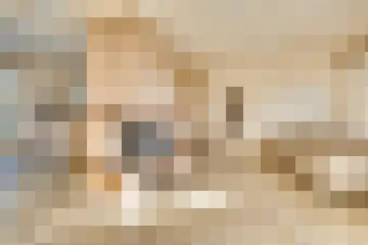 Ovezandseweg 2 B Oudelande thumbnail 10