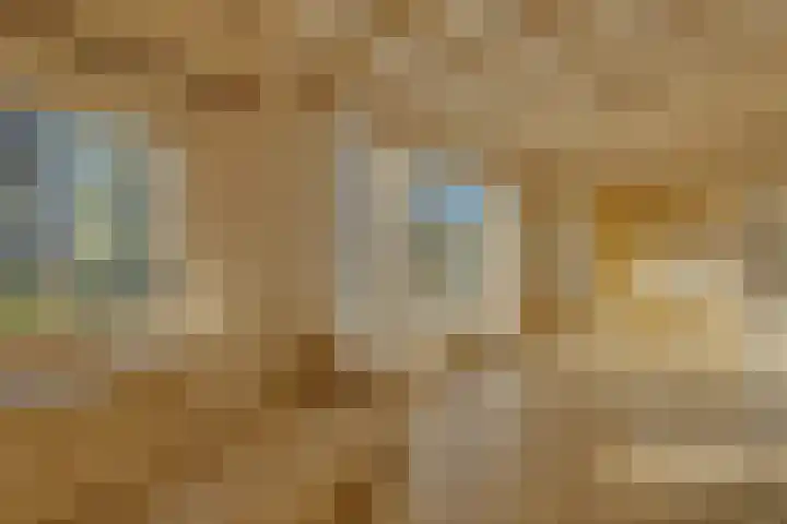 Ovezandseweg 2 B Oudelande thumbnail 11