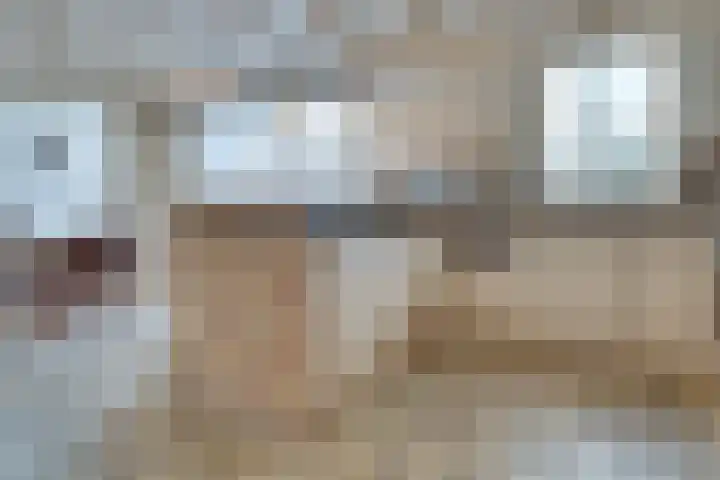 Ovezandseweg 2 B Oudelande thumbnail 16