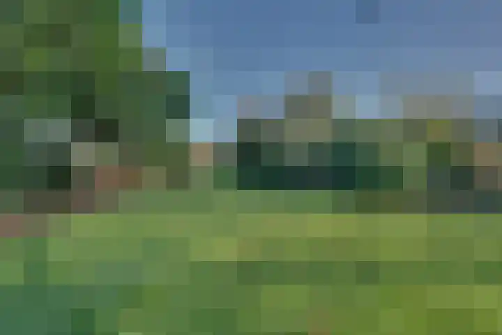 Ovezandseweg 2 B Oudelande thumbnail 32