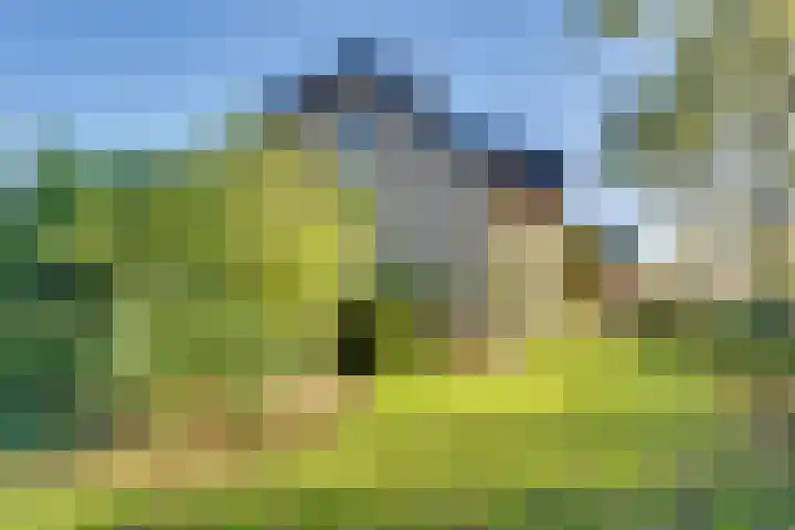 Ovezandseweg 2 B Oudelande thumbnail 33