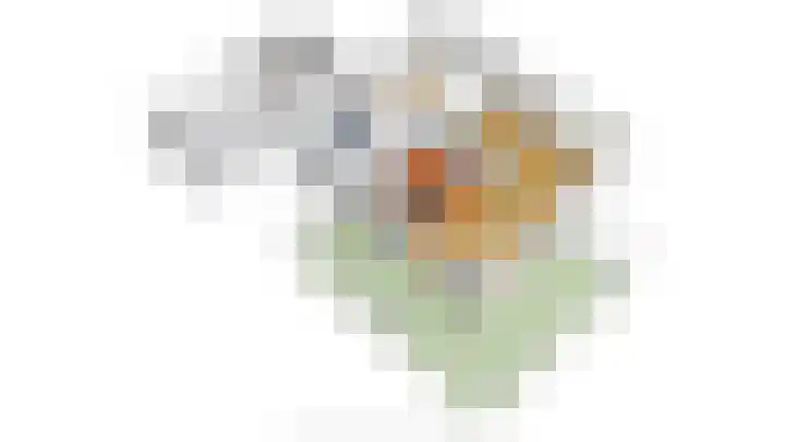 Ovezandseweg 2 B Oudelande thumbnail 39