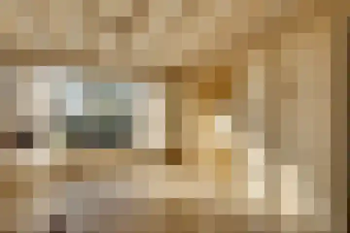 Ovezandseweg 2 B Oudelande thumbnail 6