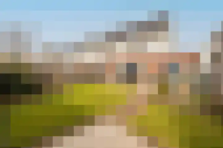 Ovidius 8 Noordwijkerhout thumbnail 17