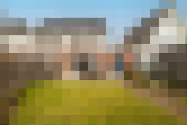 Ovidius 8 Noordwijkerhout thumbnail 18