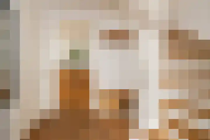 Ovidius 8 Noordwijkerhout thumbnail 20