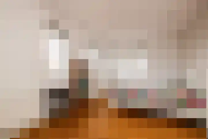 Ovidius 8 Noordwijkerhout thumbnail 21