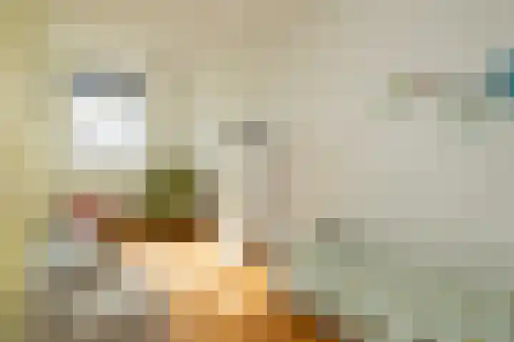 Ovidius 8 Noordwijkerhout thumbnail 27
