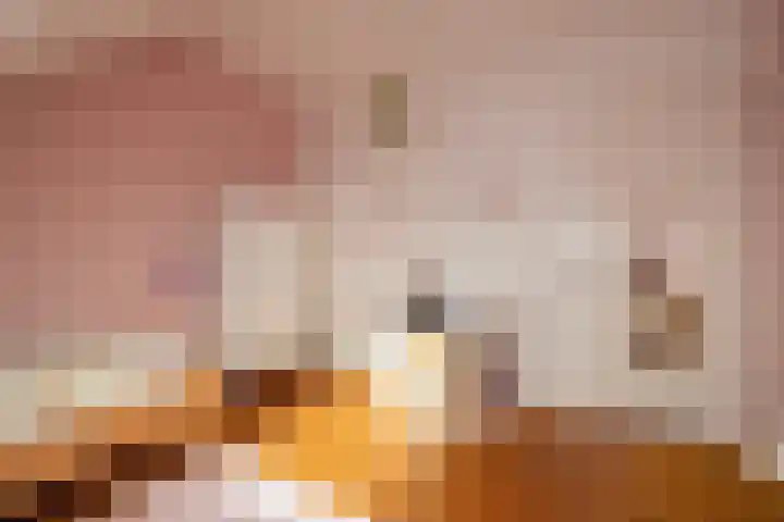 Ovidius 8 Noordwijkerhout thumbnail 36