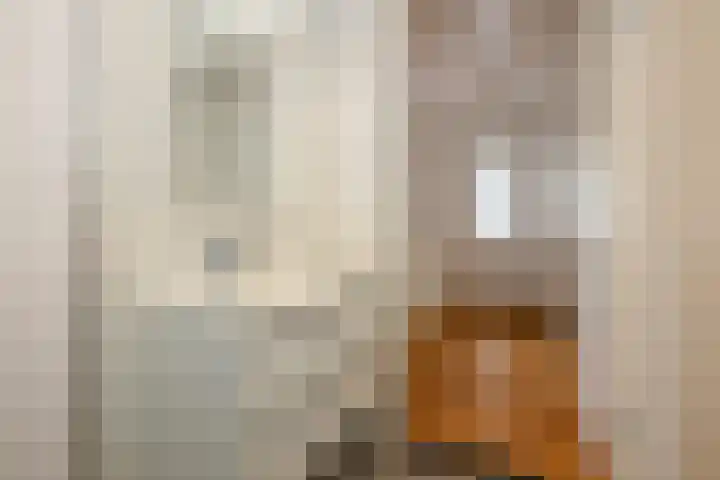 Ovidius 8 Noordwijkerhout thumbnail 39