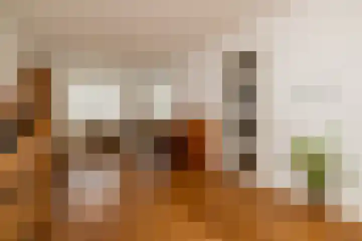 Ovidius 8 Noordwijkerhout thumbnail 4