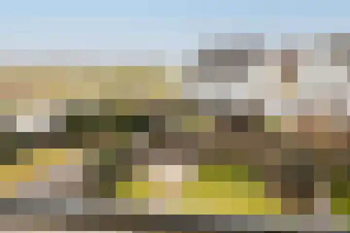 Ovidius 8 Noordwijkerhout thumbnail 43
