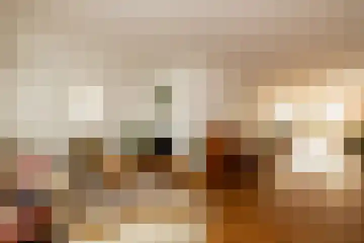 Ovidius 8 Noordwijkerhout thumbnail 5