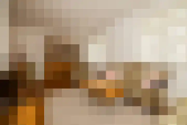 Ovidius 8 Noordwijkerhout thumbnail 7