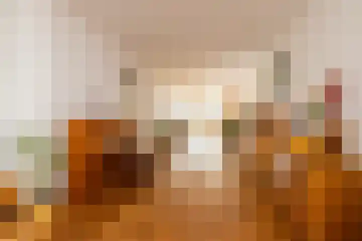 Ovidius 8 Noordwijkerhout thumbnail 8