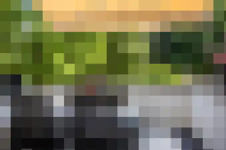 Ovidiushof 1 B Maastricht thumbnail 12