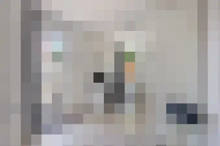 Ovidiushof 1 B Maastricht thumbnail 20