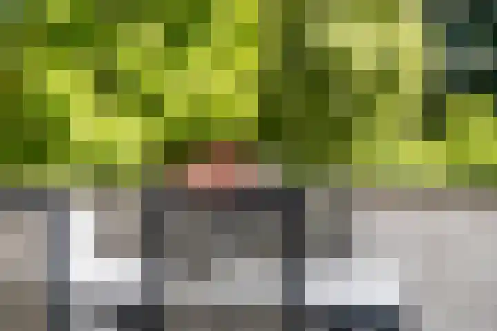 Ovidiushof 1 B Maastricht thumbnail 23