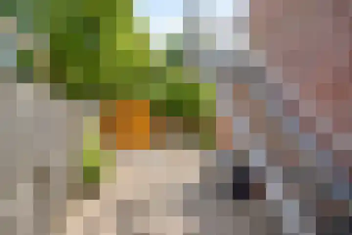 Ovidiushof 1 B Maastricht thumbnail 24