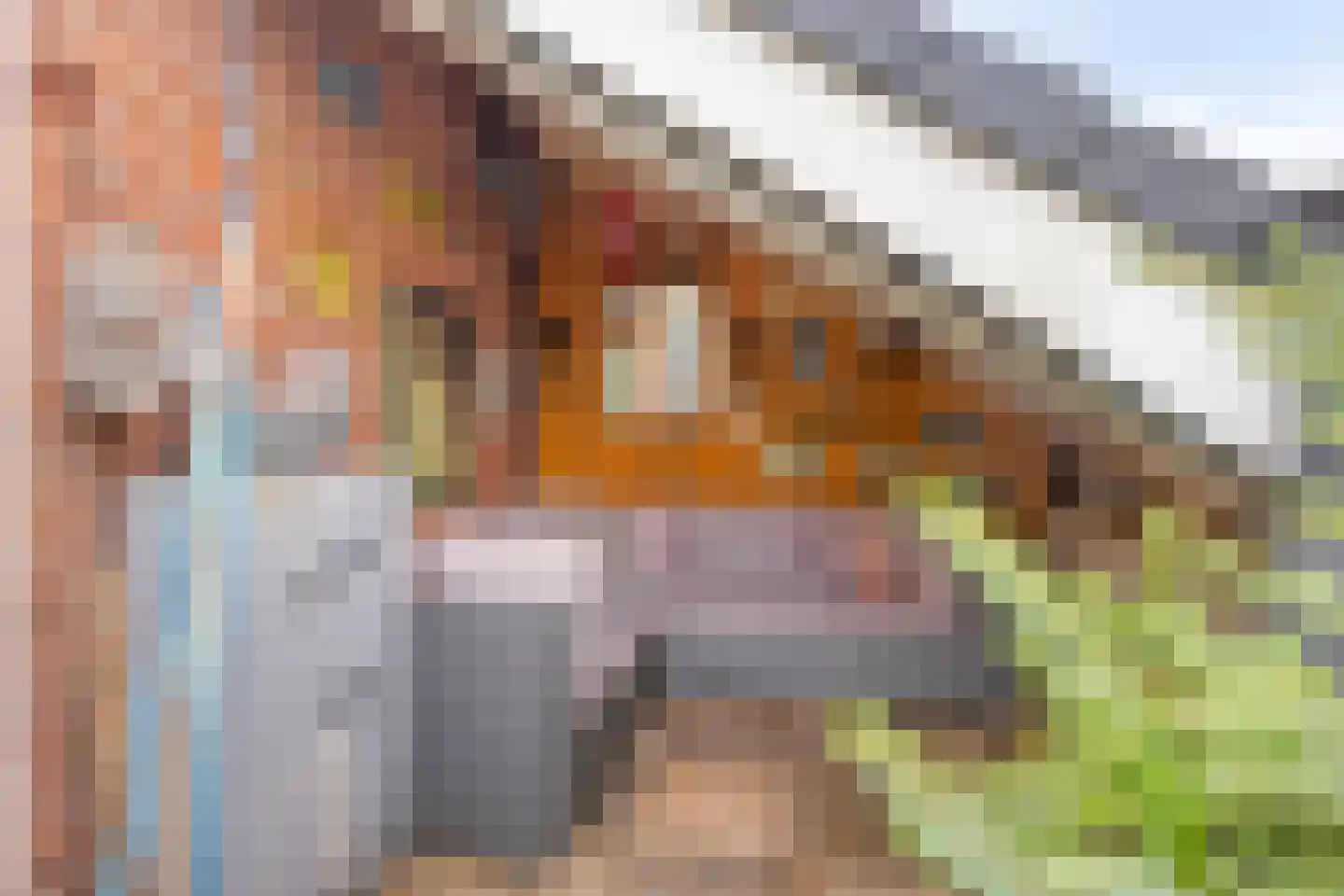 Ovidiushof 1 B Maastricht thumbnail 25