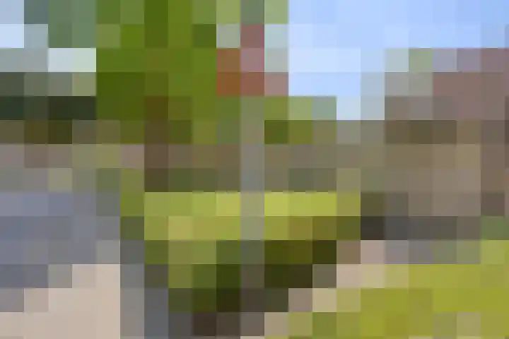 Ovidiushof 1 B Maastricht thumbnail 29