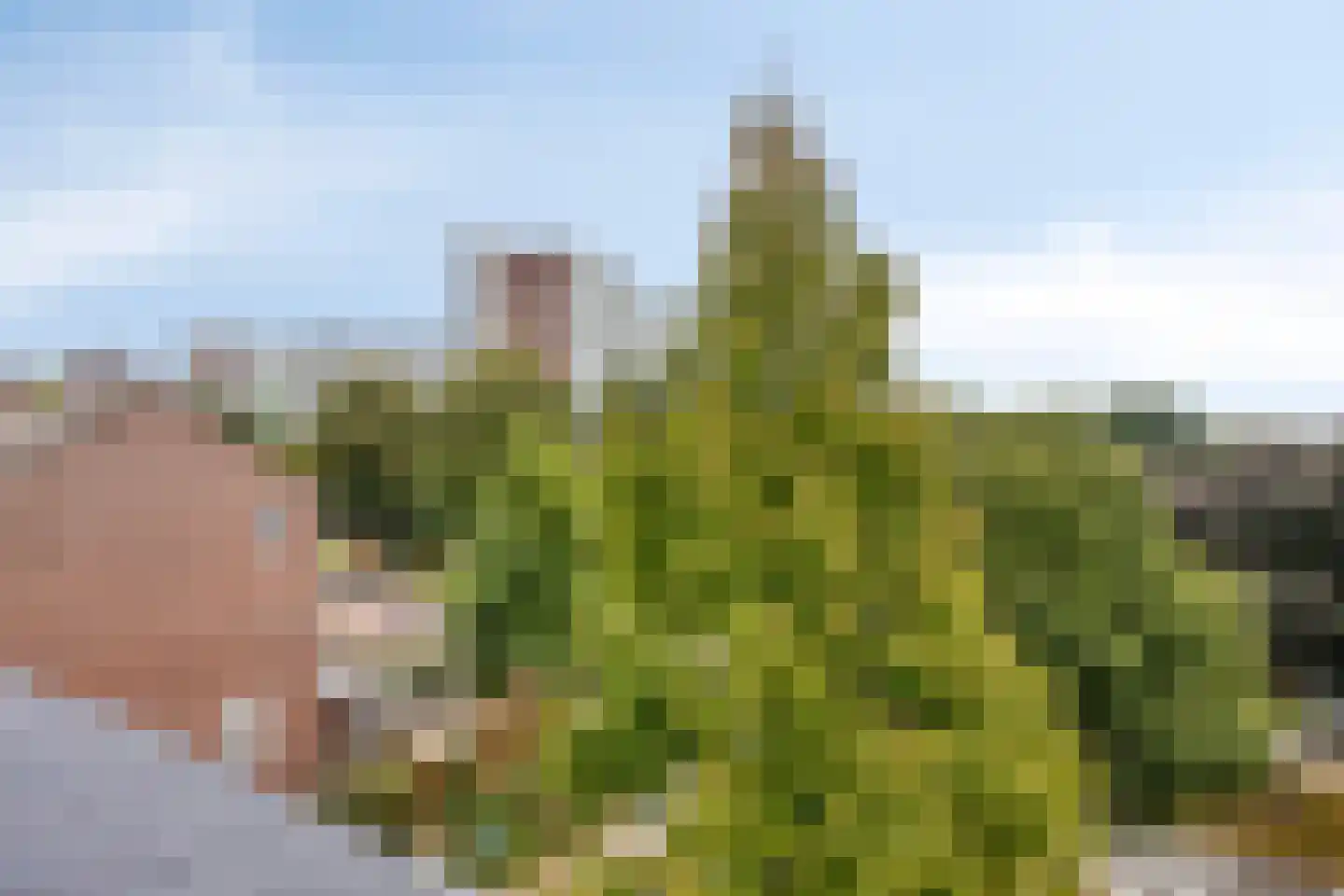 Ovidiushof 1 B Maastricht thumbnail 34