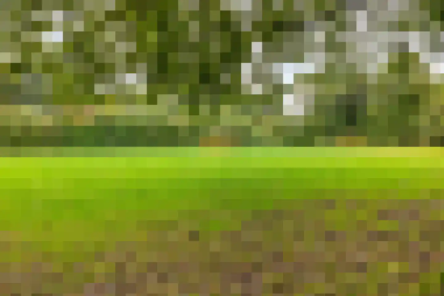 Ovidiushof 1 B Maastricht thumbnail 36