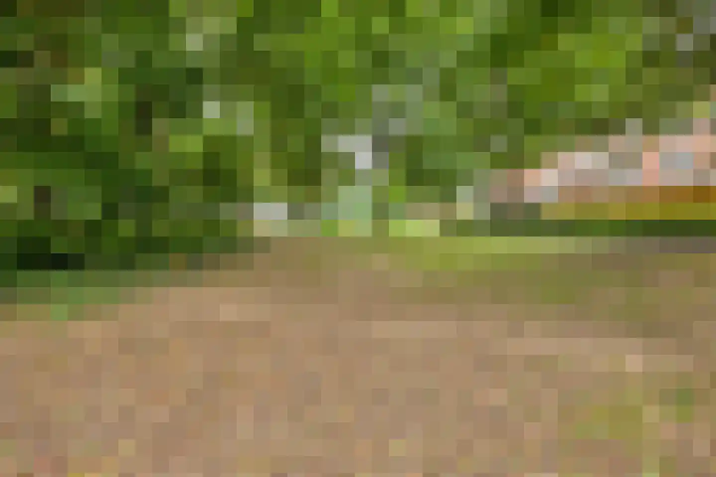 Ovidiushof 1 B Maastricht thumbnail 37