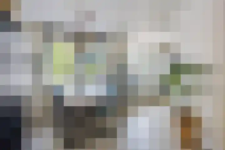 Ovidiushof 1 B Maastricht thumbnail 8
