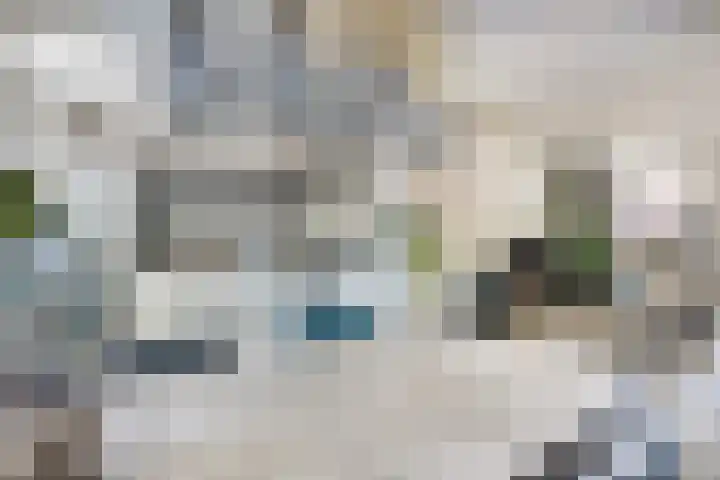 Ovidiushof 1 B Maastricht thumbnail 9
