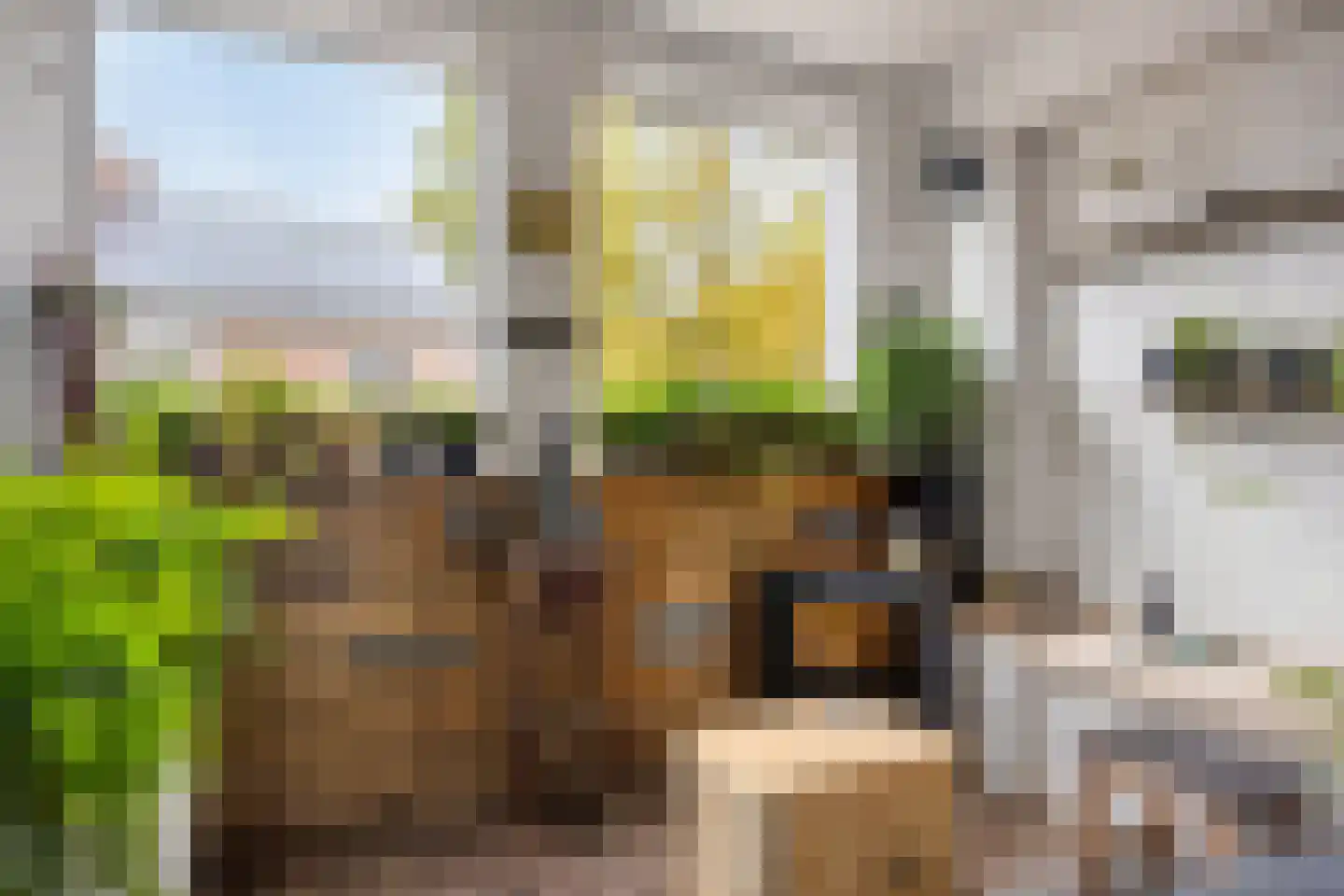 Ovidiushof 1 B Maastricht thumbnail 9